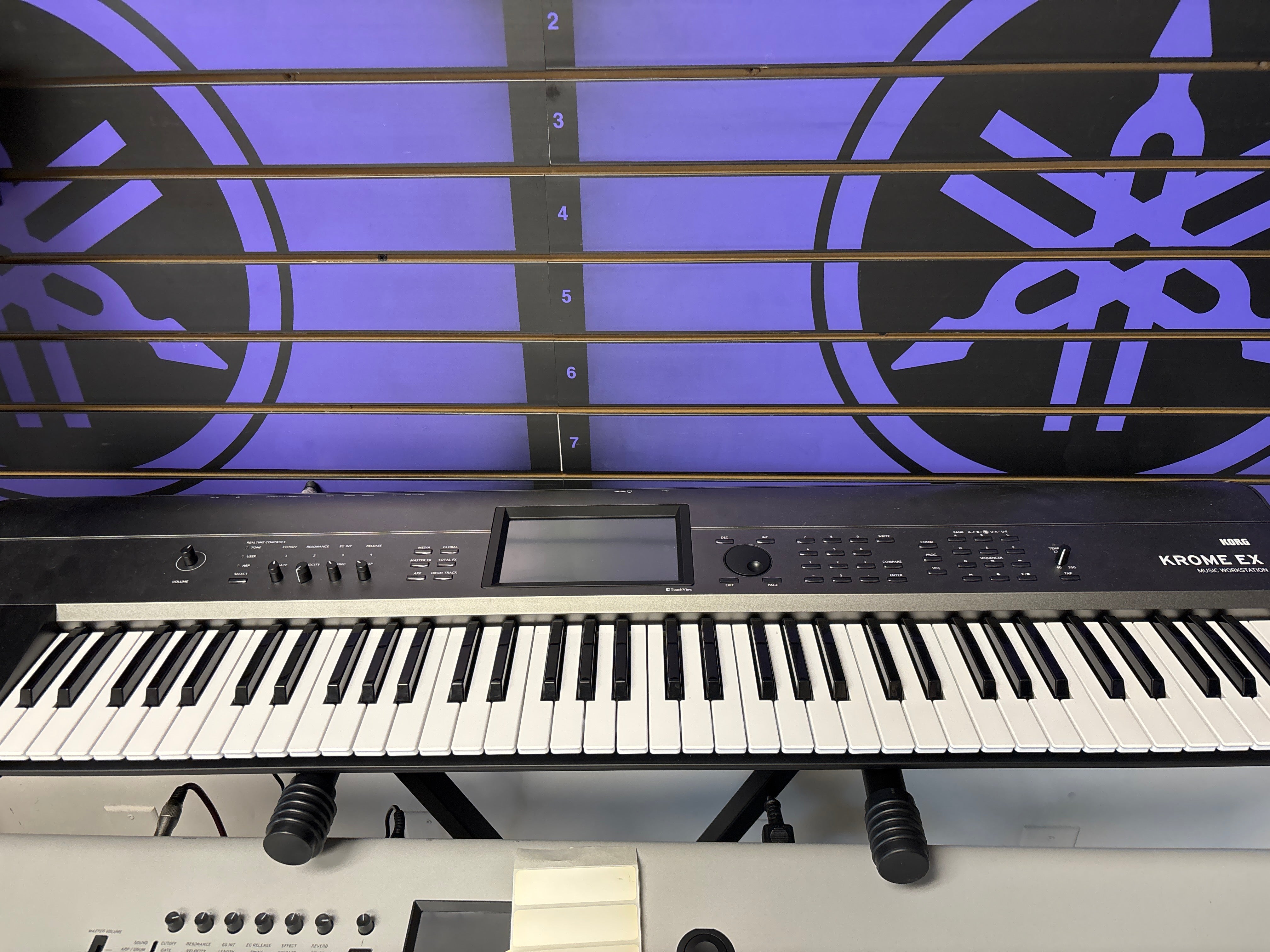 The Pied Piper Music Store