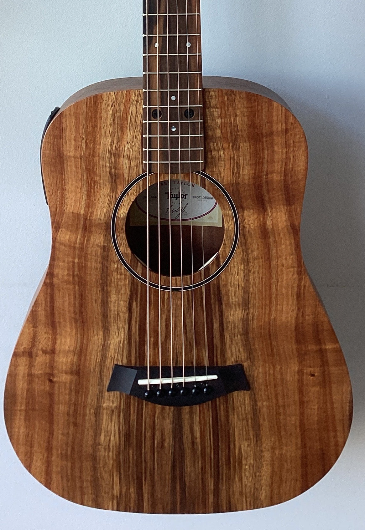 The Pied Piper Music Store