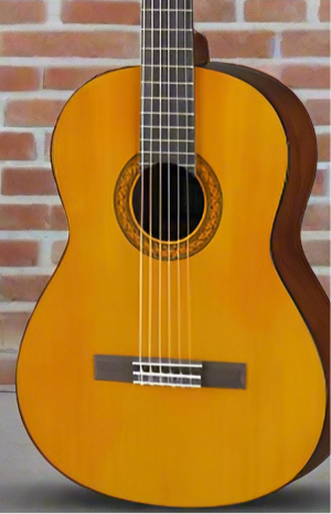 The Pied Piper Music Store