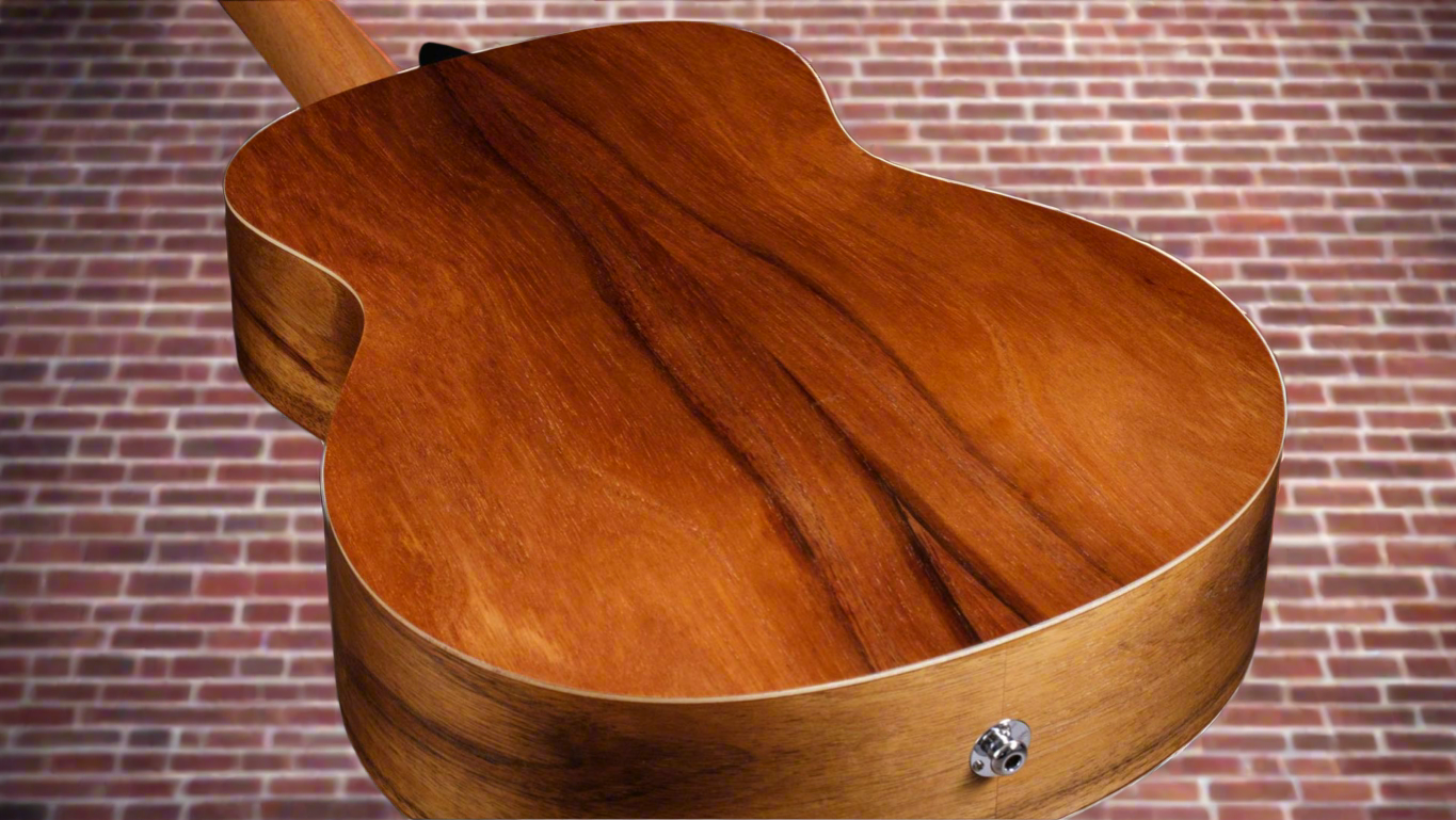 Image of TAYLOR GS Mini-e Koa