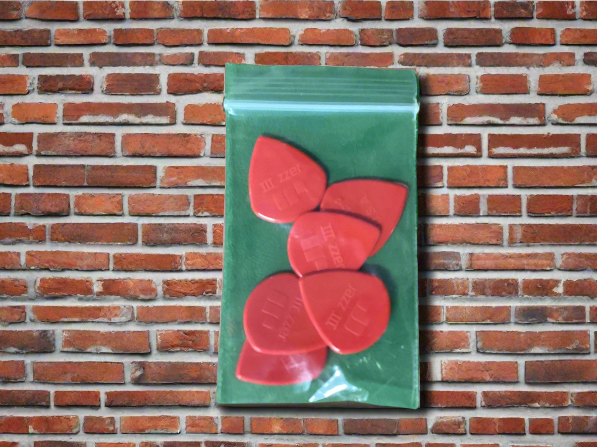 The Pied Piper Music Store