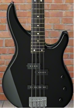 The Pied Piper Music Store