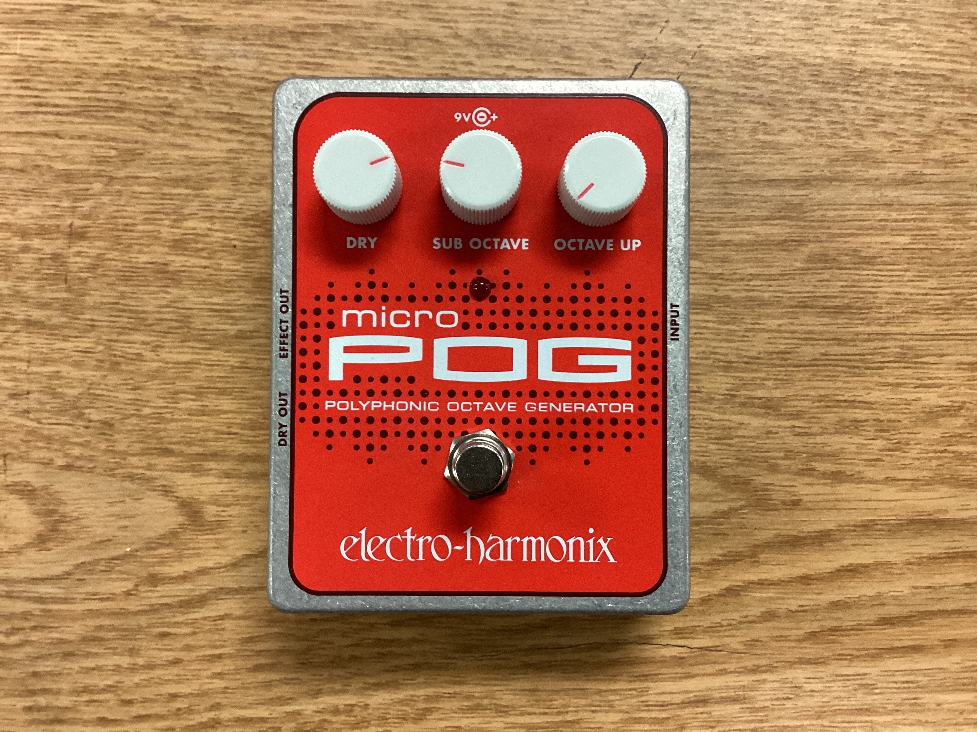 The Pied Piper Music Store