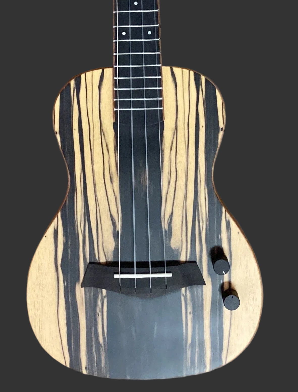 The Pied Piper Music Store