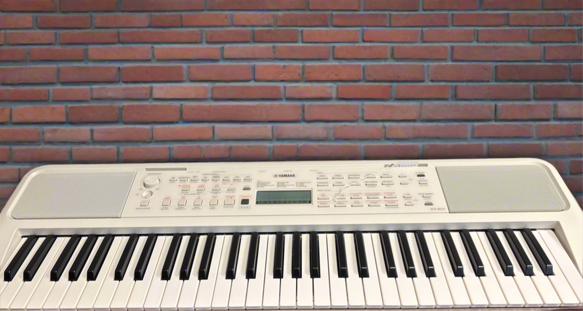 The Pied Piper Music Store