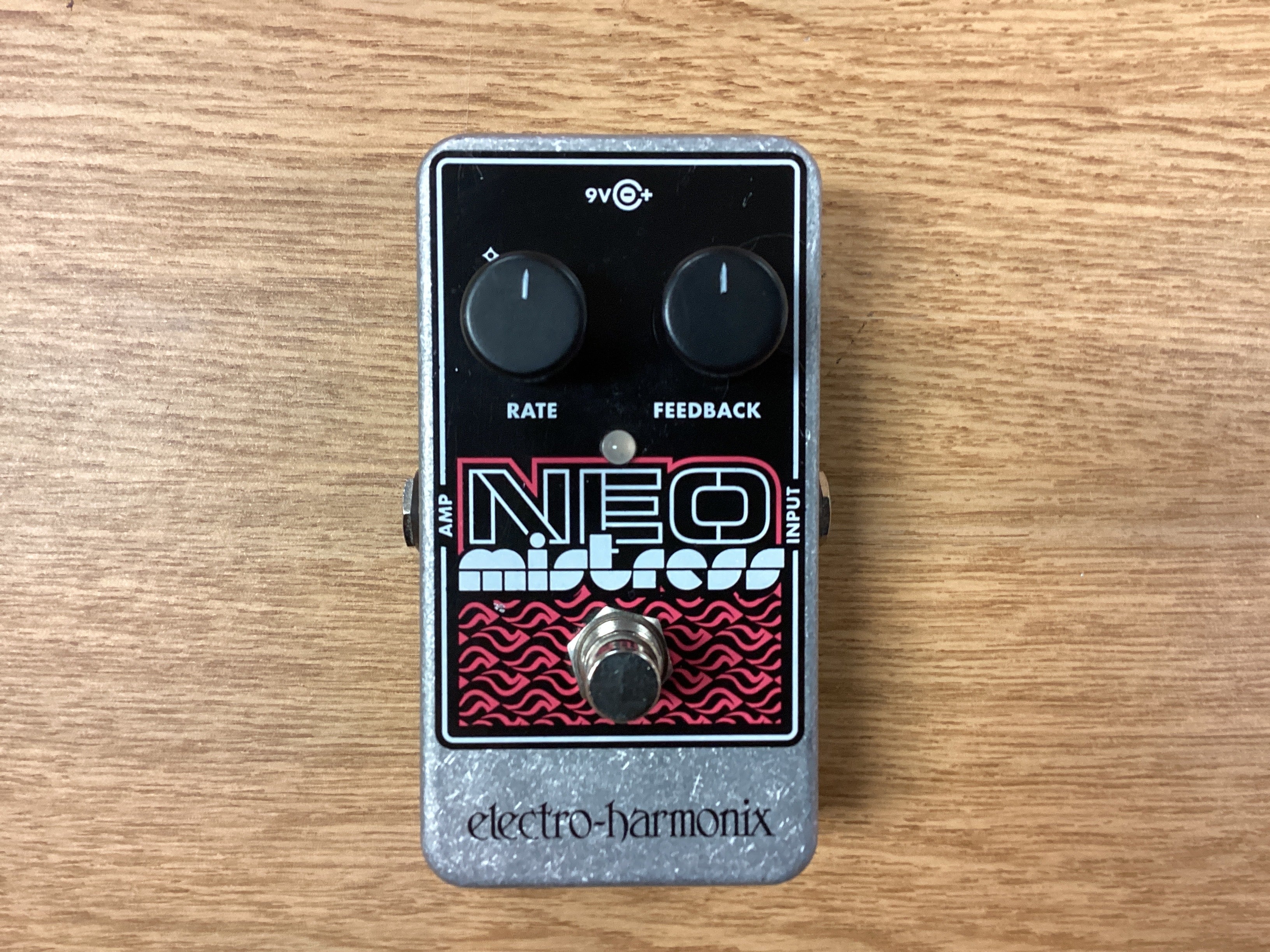 The Pied Piper Music Store