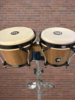 The Pied Piper Music Store