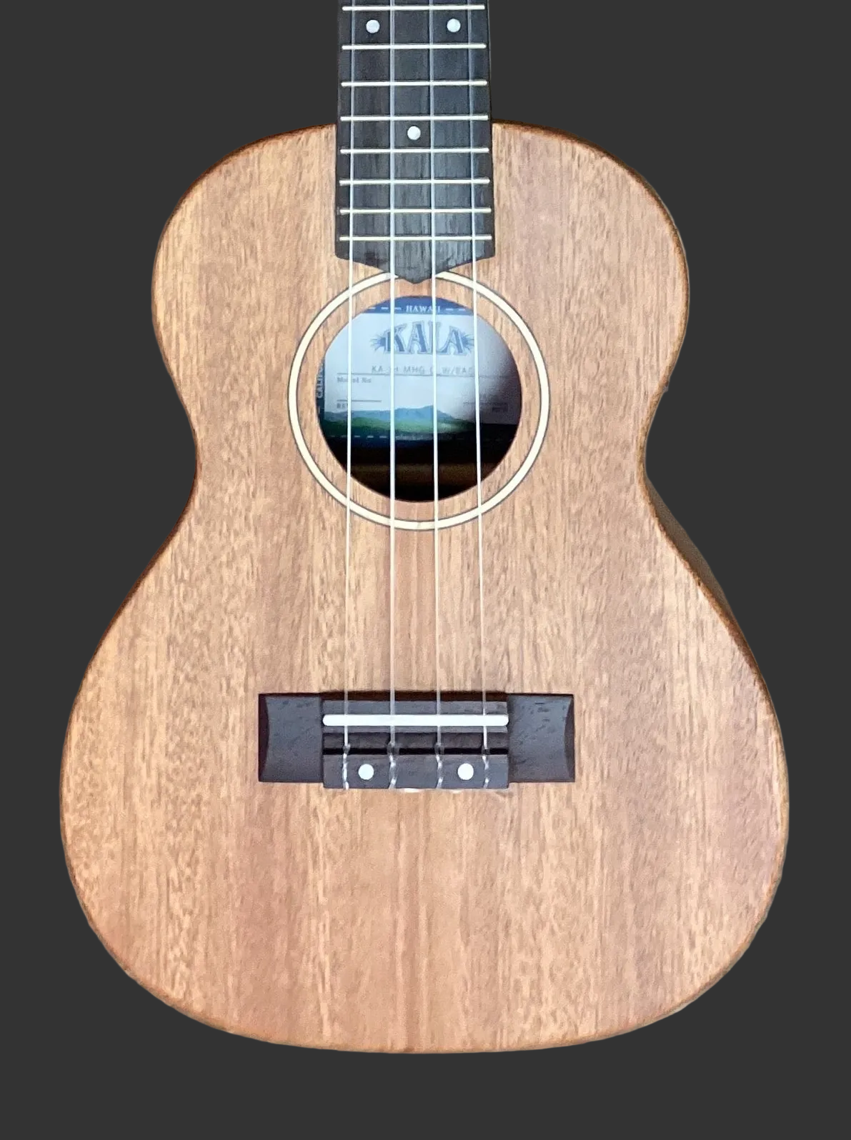 The Pied Piper Music Store