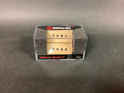 The Pied Piper Music Store