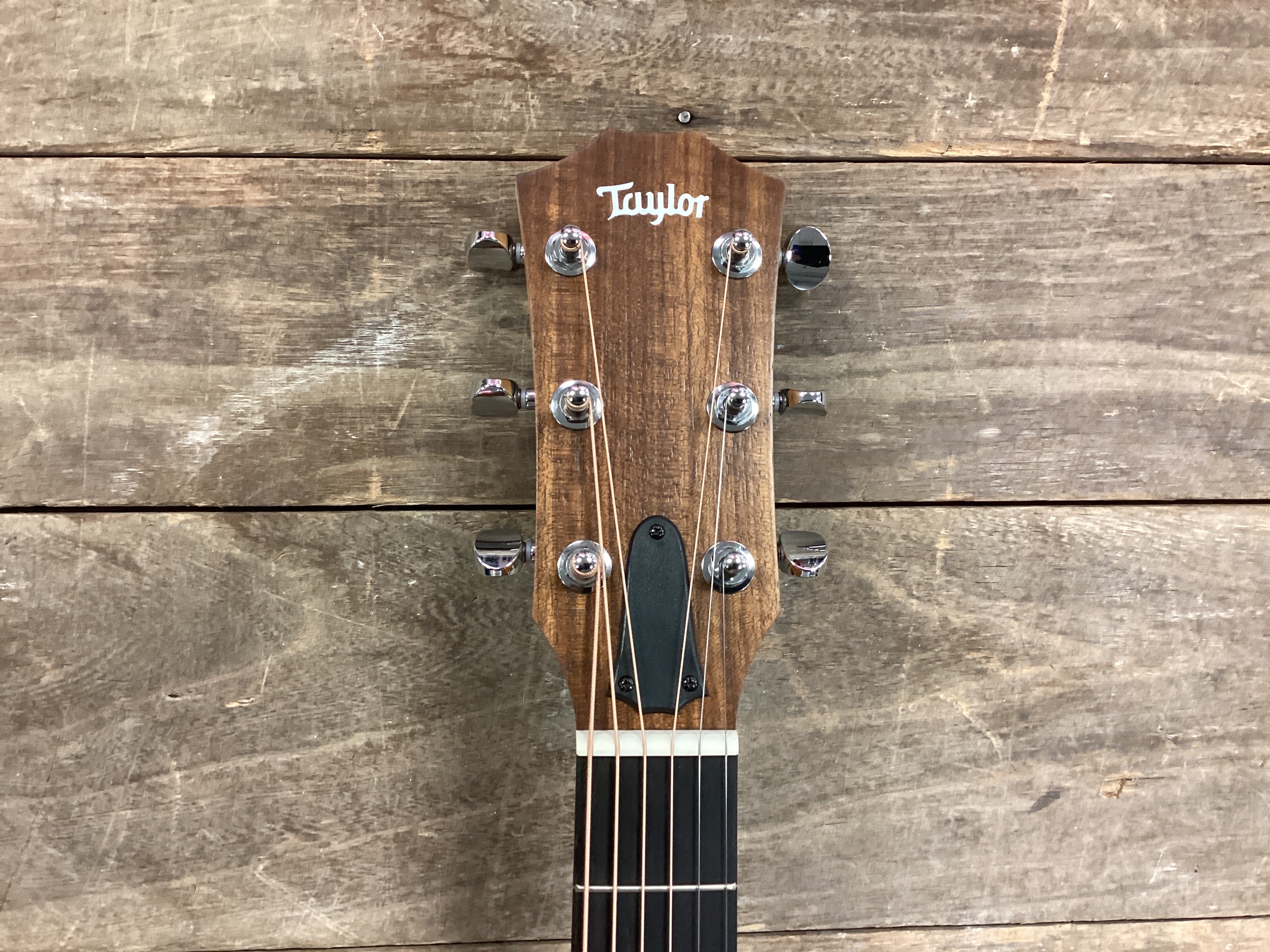 Image of Taylor 14ce