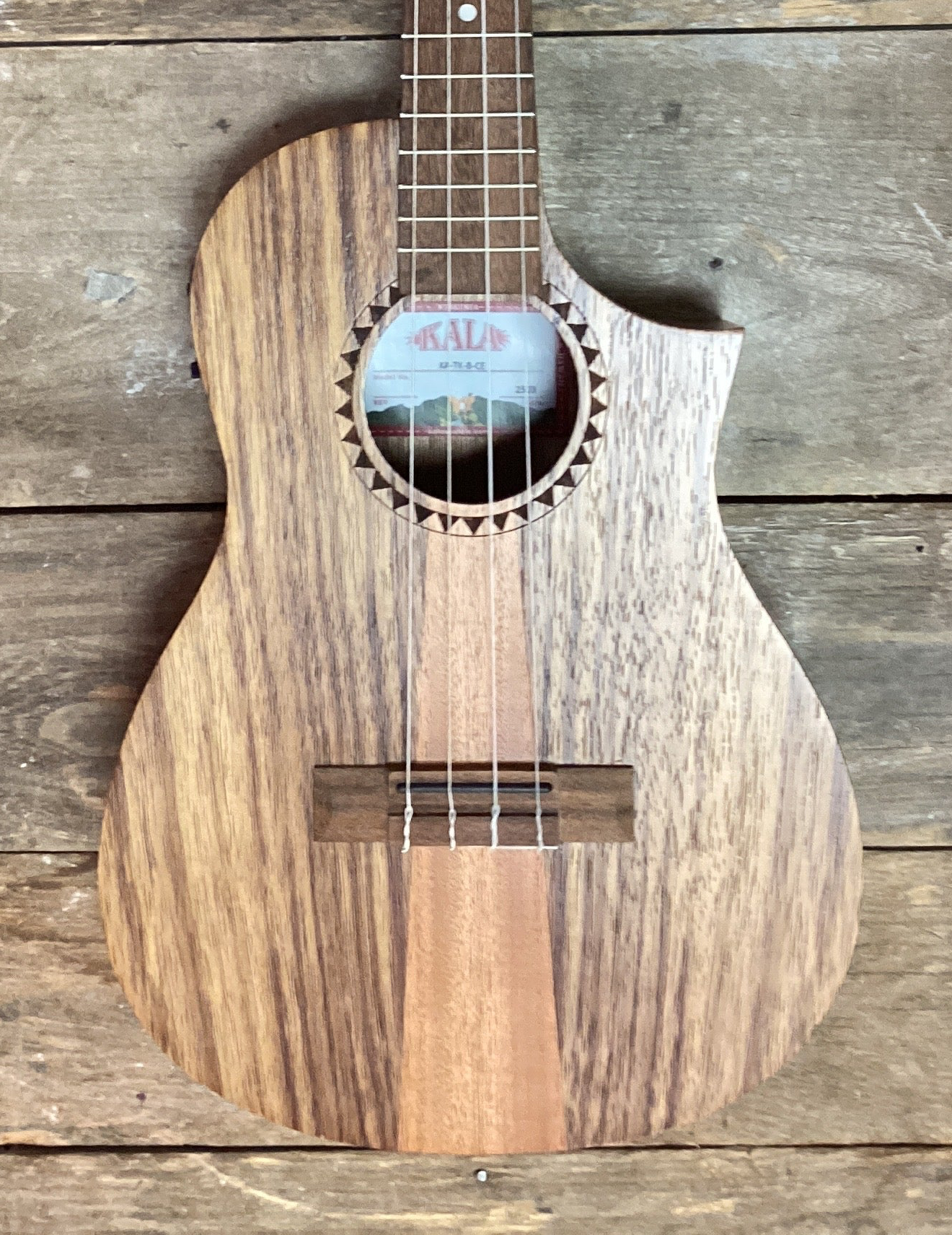 The Pied Piper Music Store