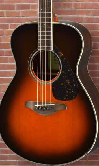 The Pied Piper Music Store