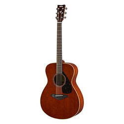 The Pied Piper Music Store