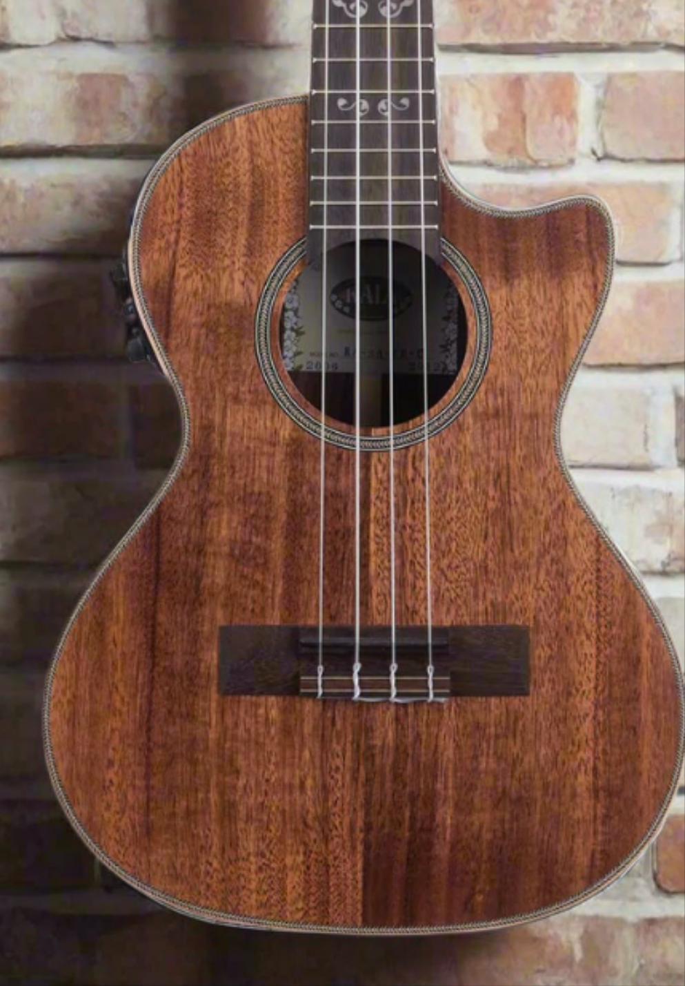 The Pied Piper Music Store