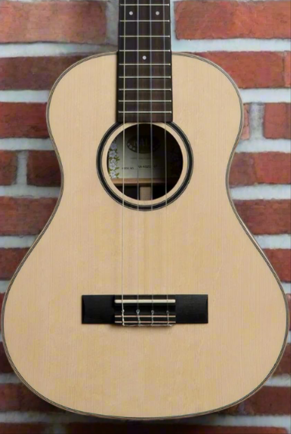 The Pied Piper Music Store