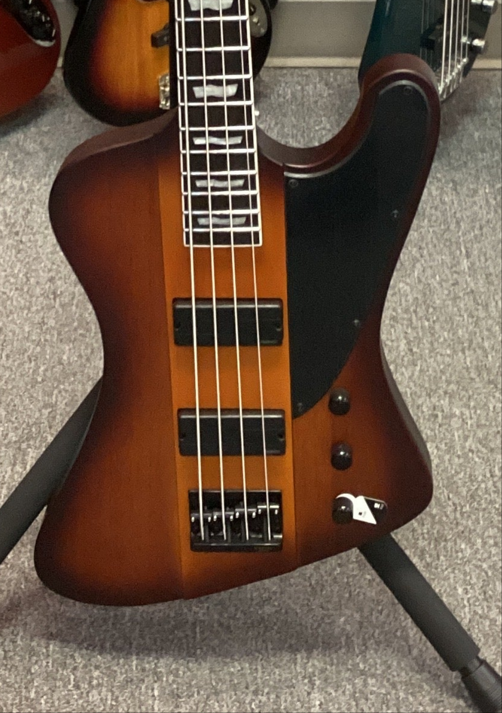 The Pied Piper Music Store