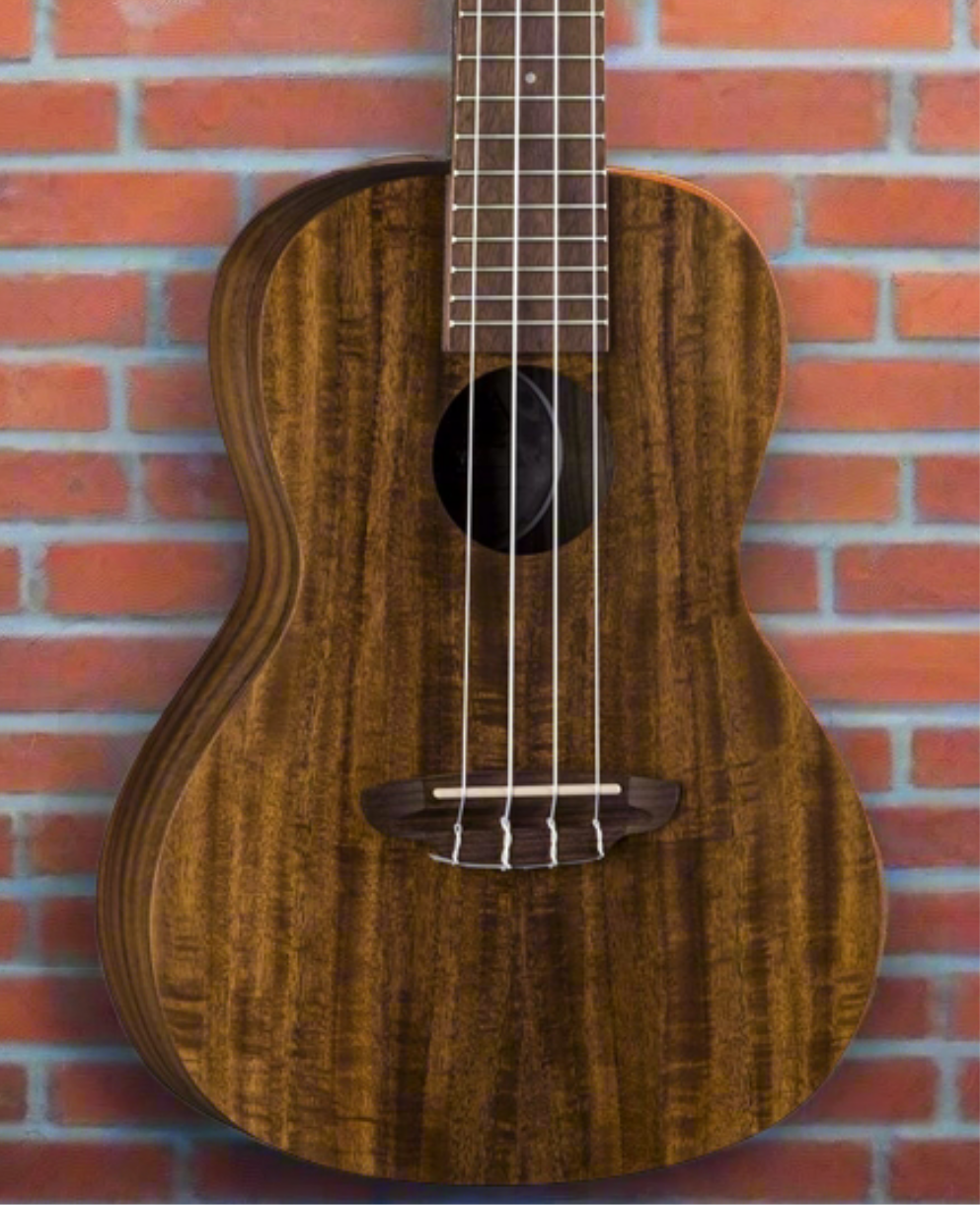 The Pied Piper Music Store