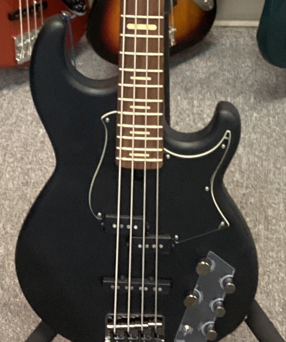 The Pied Piper Music Store