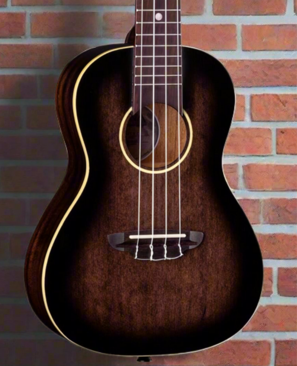 The Pied Piper Music Store