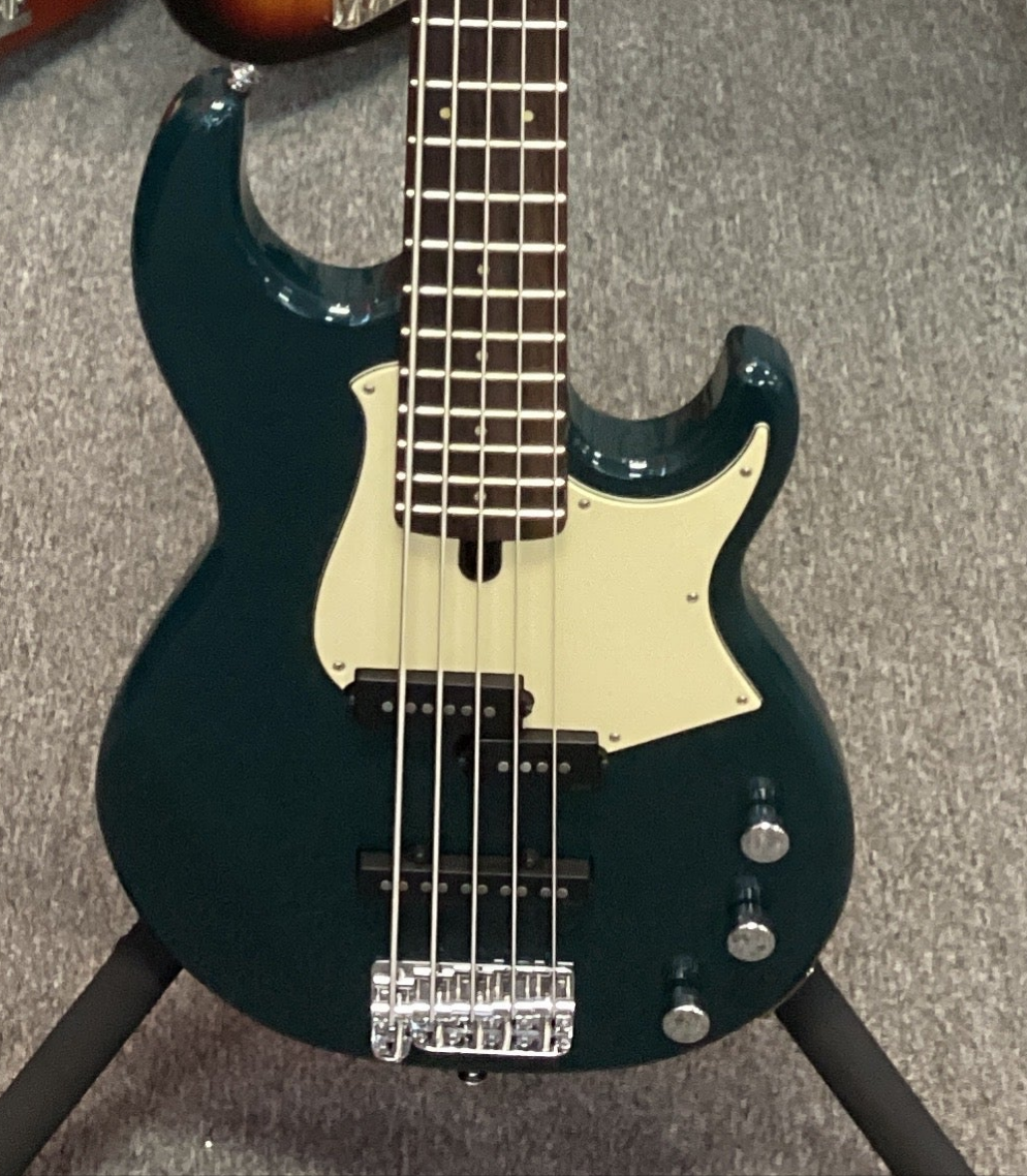 The Pied Piper Music Store