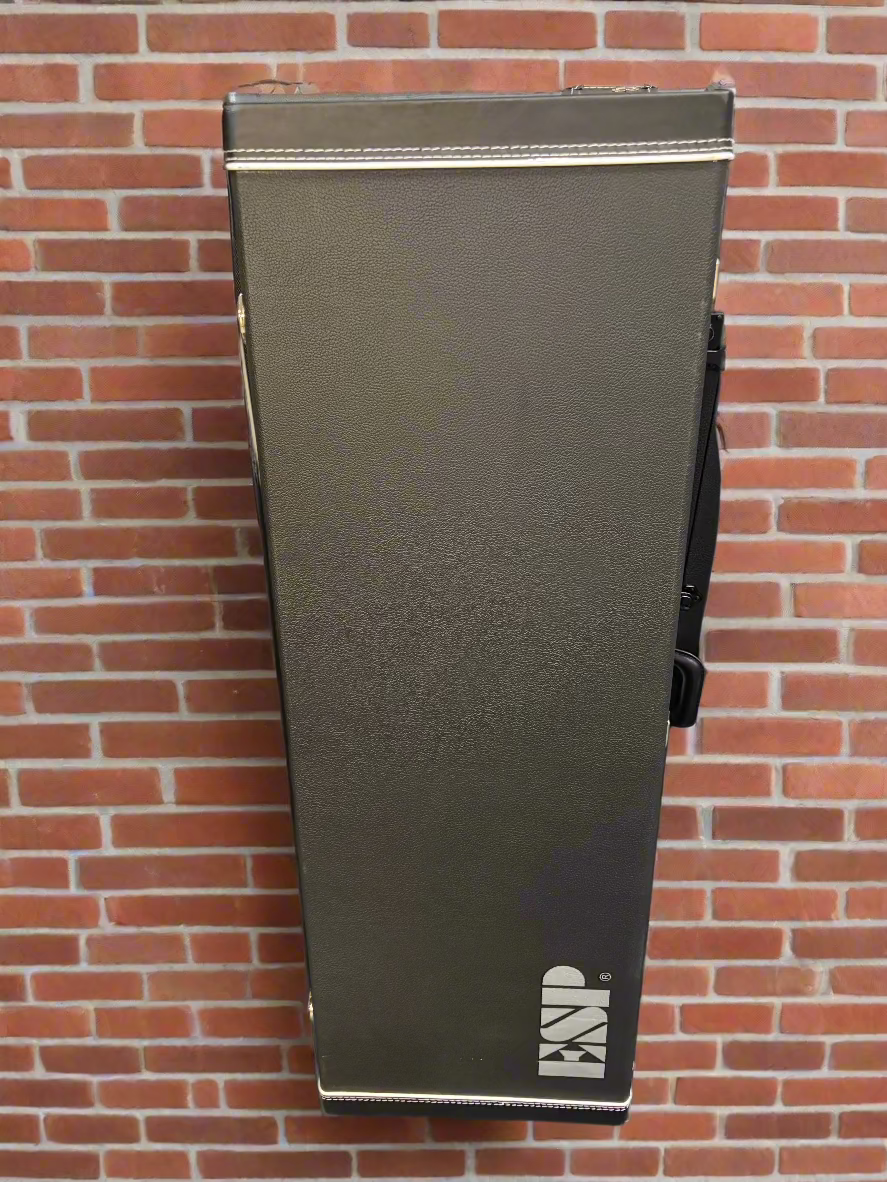 The Pied Piper Music Store