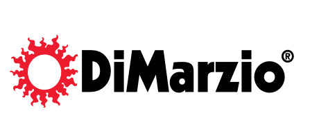 The Pied Piper Music Store