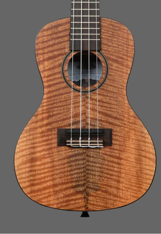 The Pied Piper Music Store