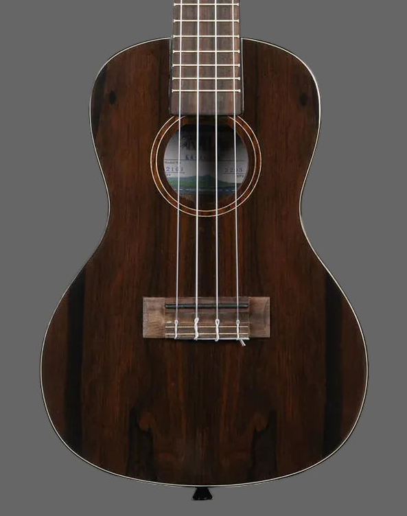 The Pied Piper Music Store