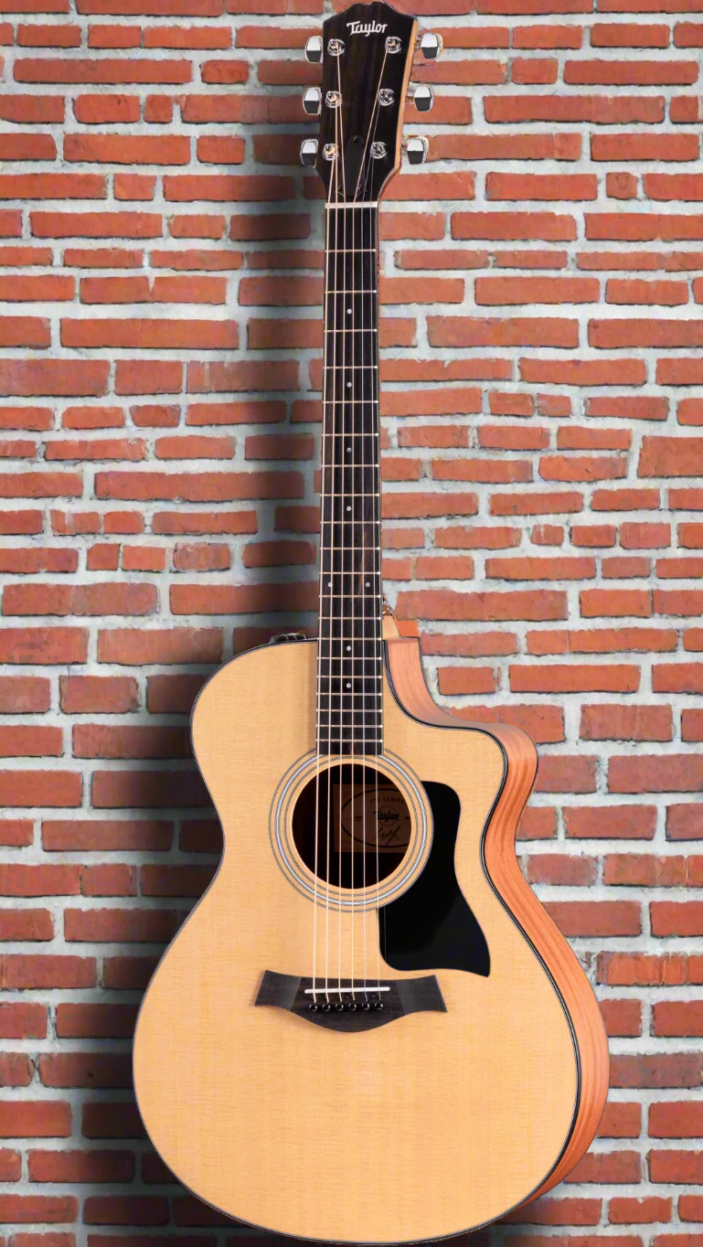 Image of TAYLOR 112ce