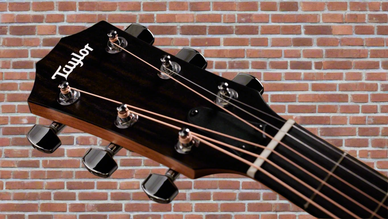 Image of TAYLOR 112ce