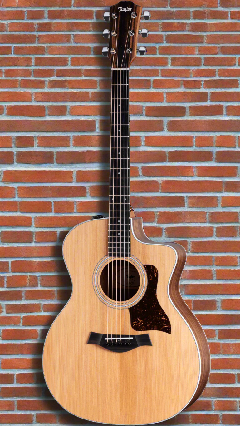 Image of TAYLOR 214ce