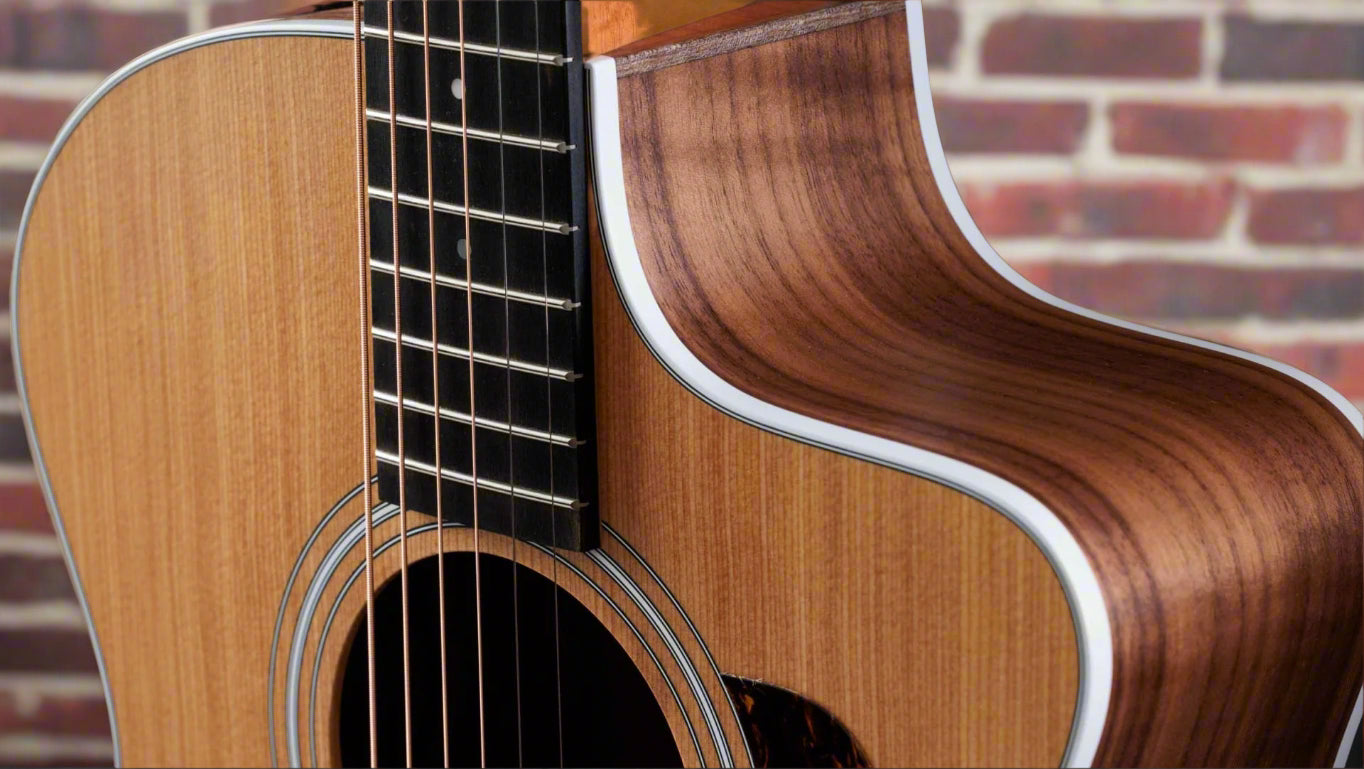 Image of TAYLOR 214ce