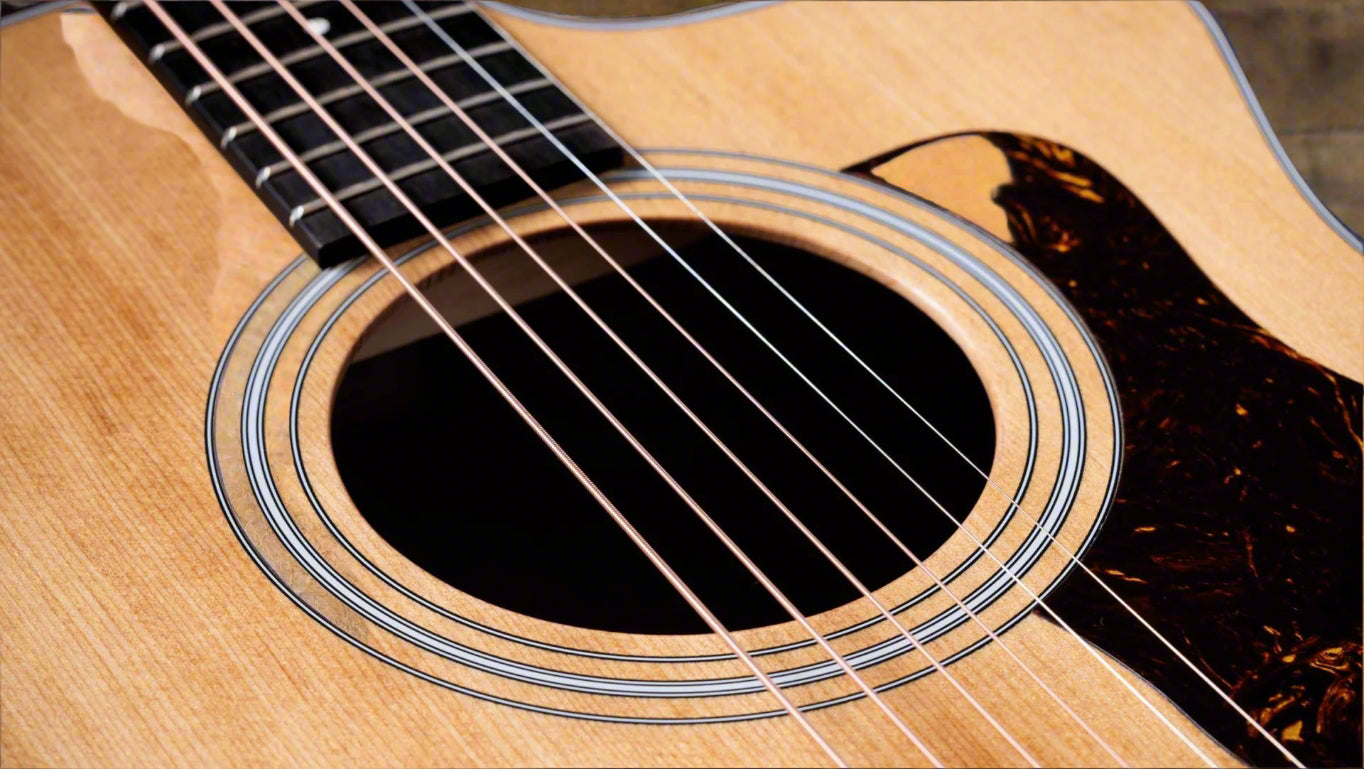 Image of TAYLOR 214ce