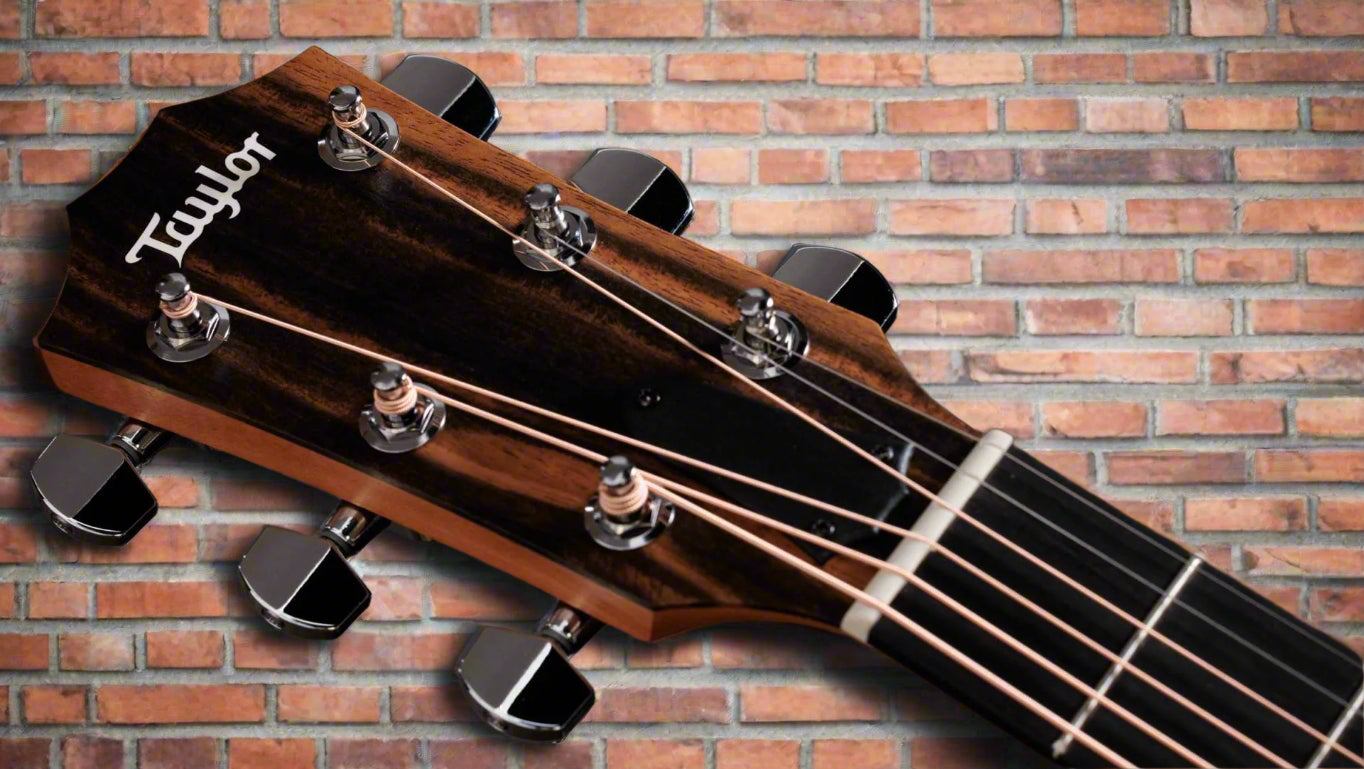 Image of TAYLOR 214ce