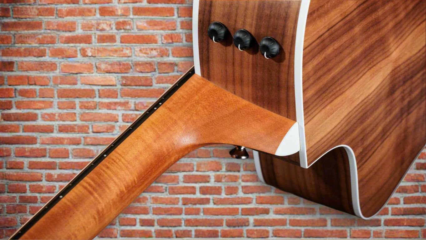 Image of TAYLOR 214ce