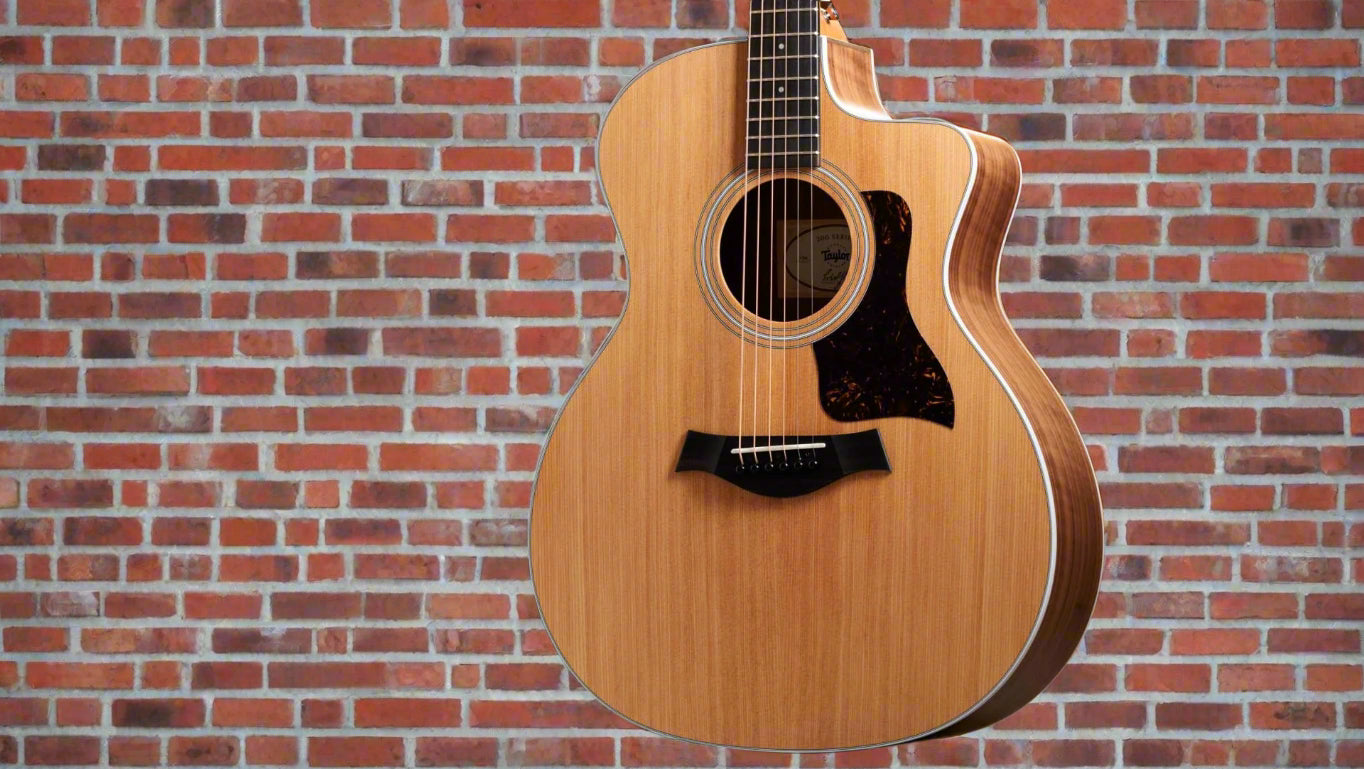 Image of TAYLOR 214ce