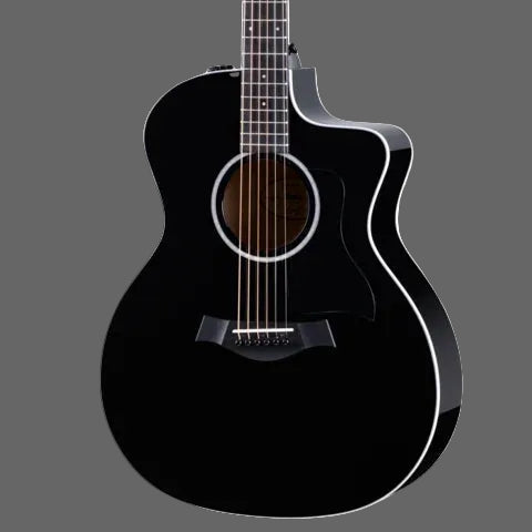 The Pied Piper Music Store