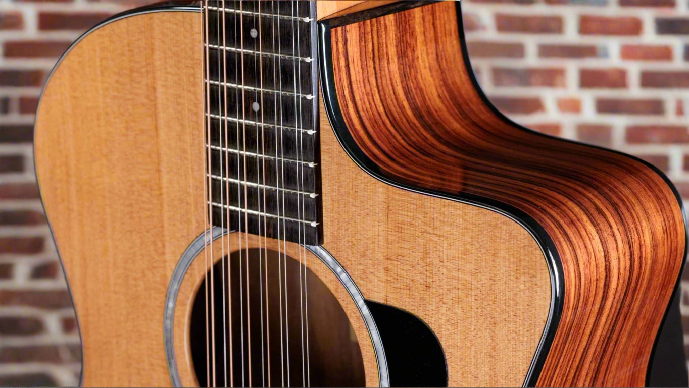 Image of TAYLOR 254ce Plus