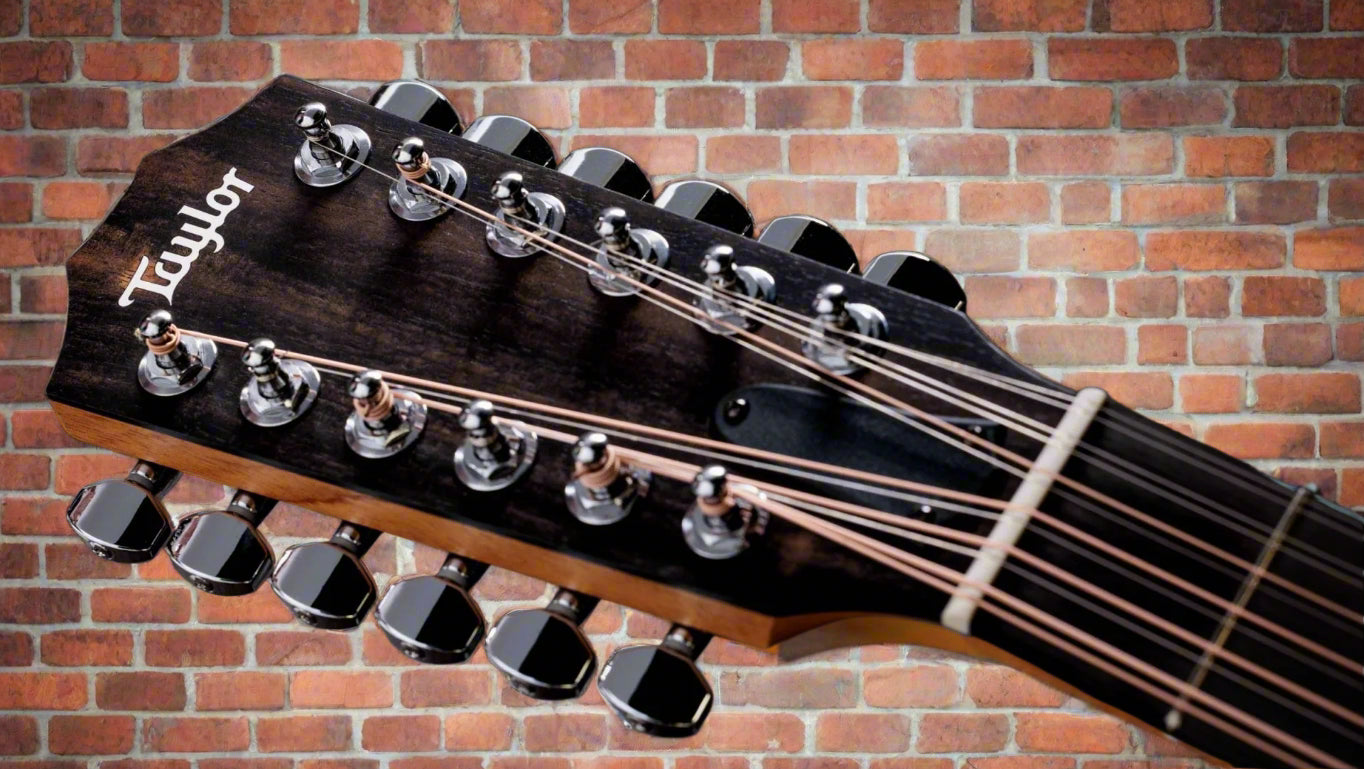 Image of TAYLOR 254ce Plus