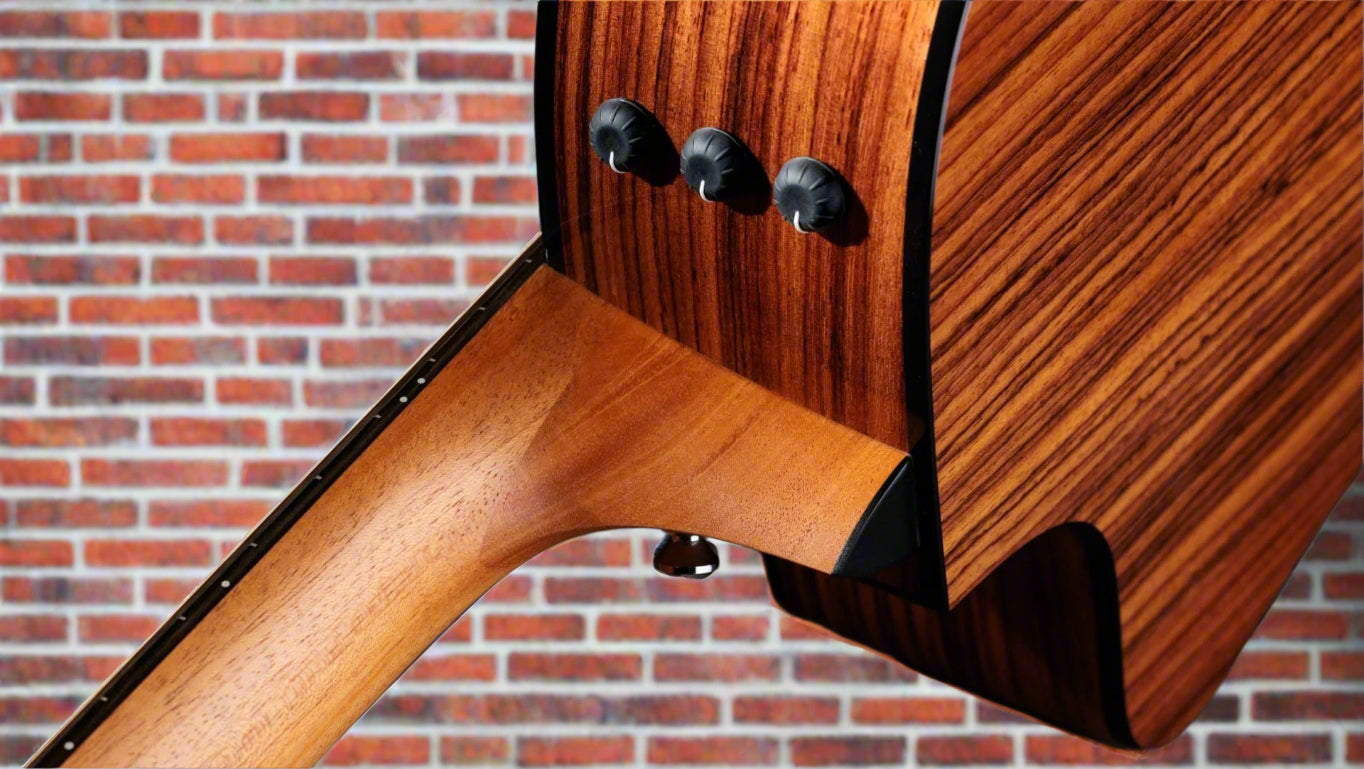 Image of TAYLOR 254ce Plus