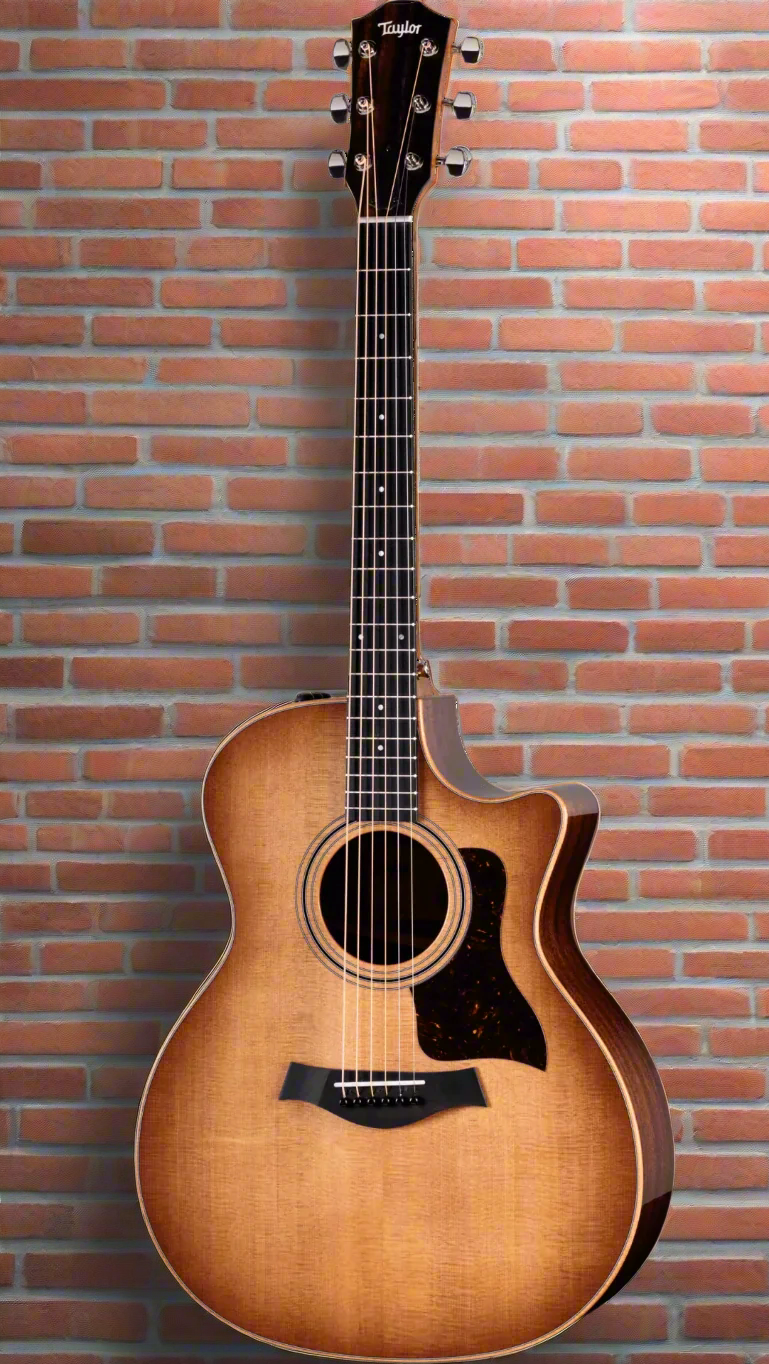 Image of TAYLOR 314ce Studio SEB