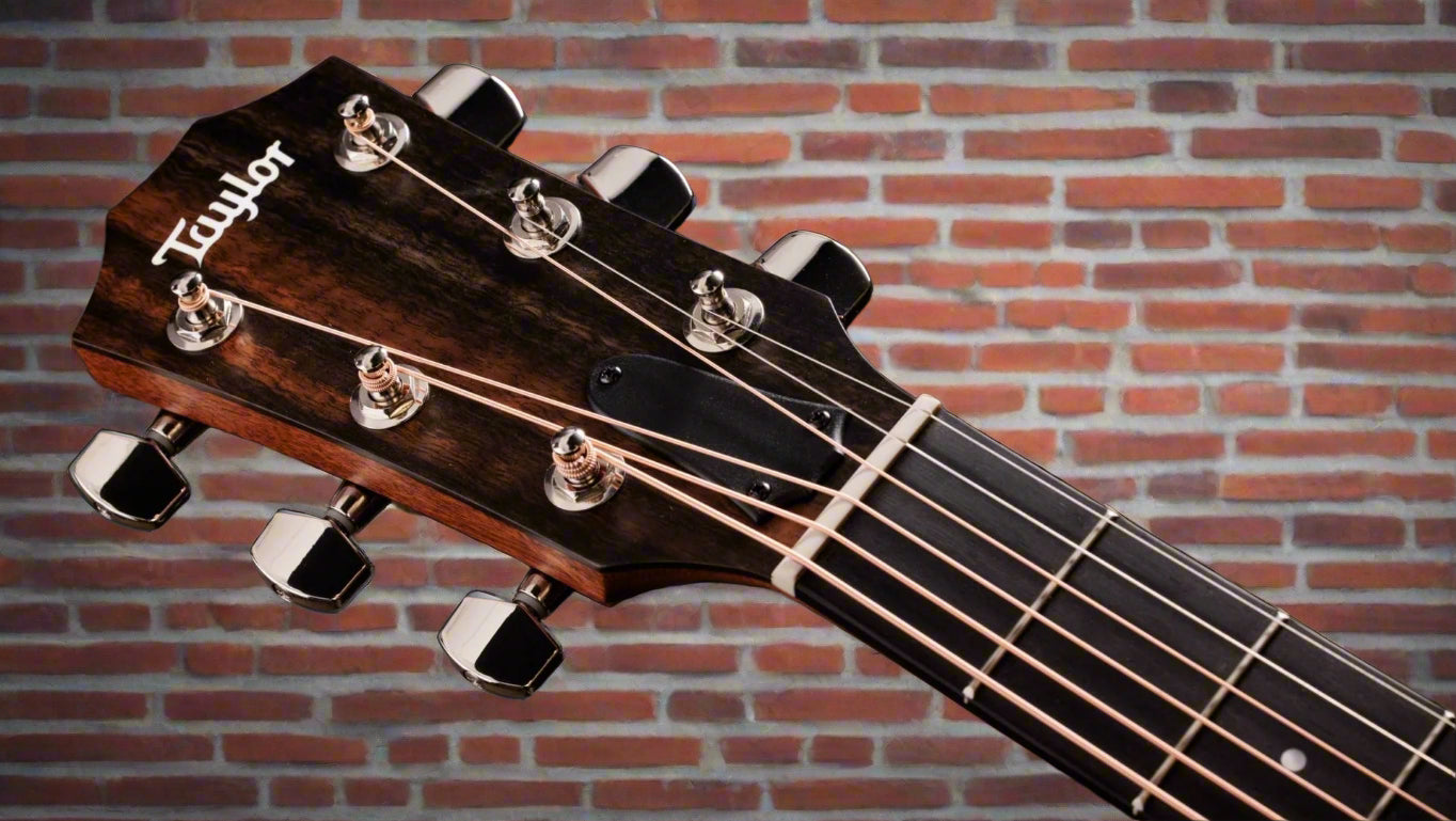 Image of TAYLOR 314ce Studio SEB