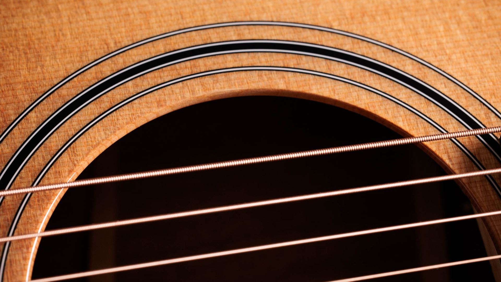 Image of TAYLOR 314ce Studio Special Edition