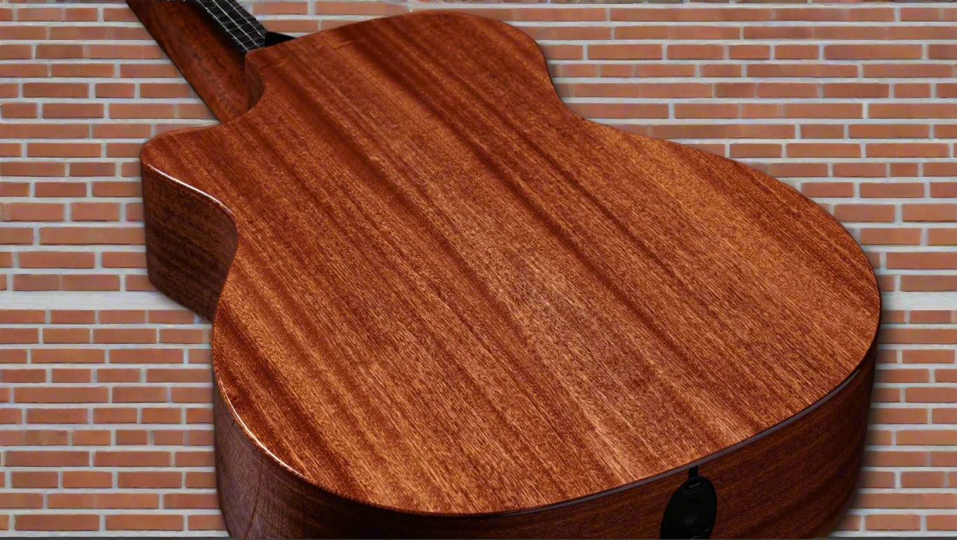 Image of TAYLOR 314ce Studio Special Edition