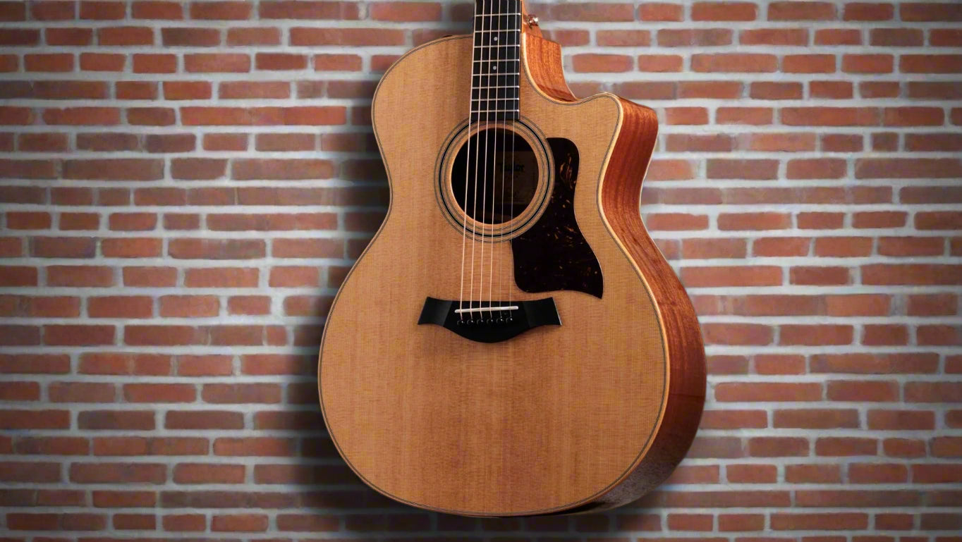 Image of TAYLOR 314ce Studio Special Edition