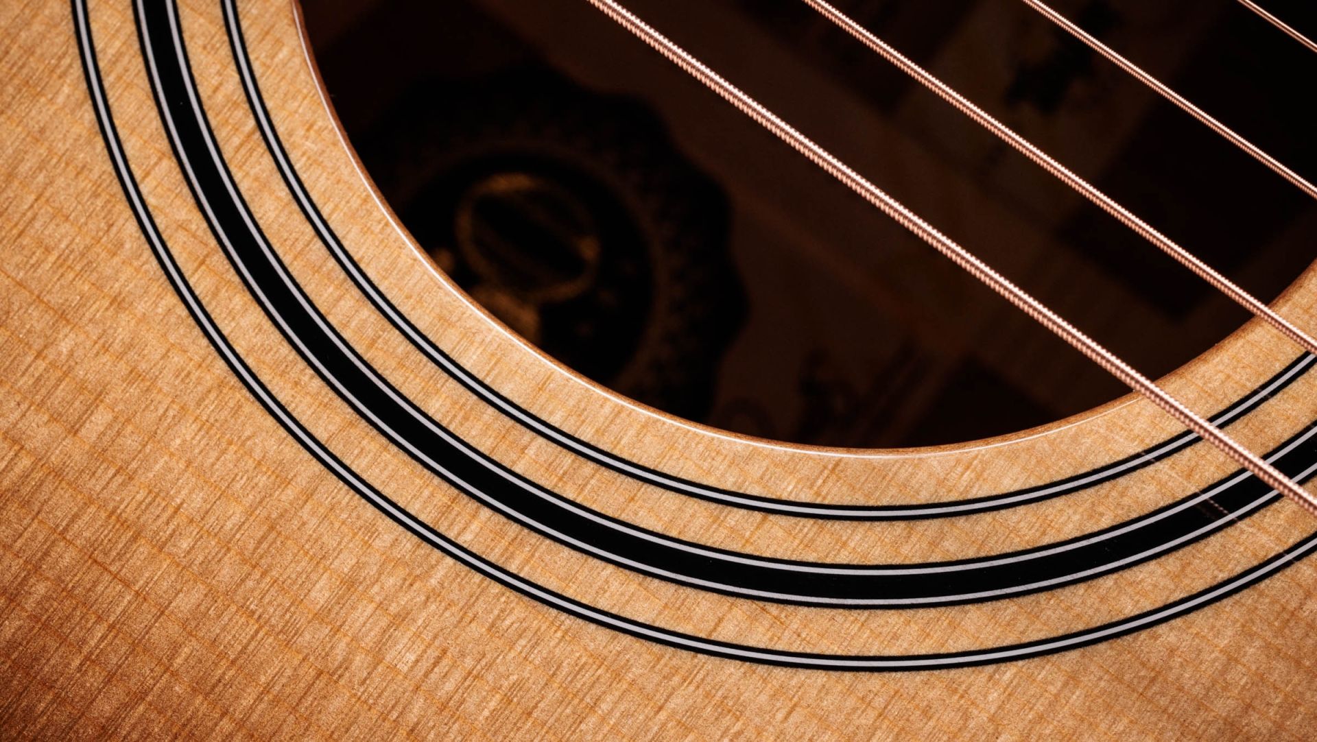 Image of TAYLOR 50th Anniversary 312ce LTD