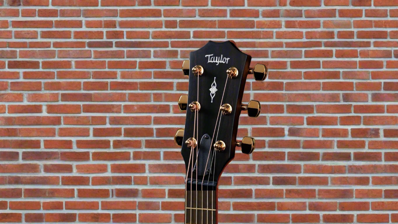 Image of TAYLOR 50th Anniversary 312ce LTD
