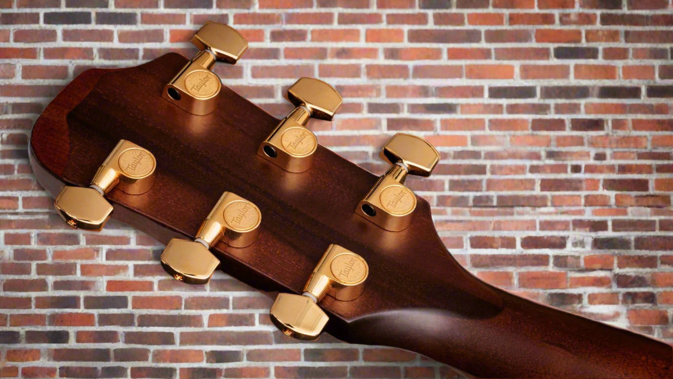 Image of TAYLOR 50th Anniversary 312ce LTD