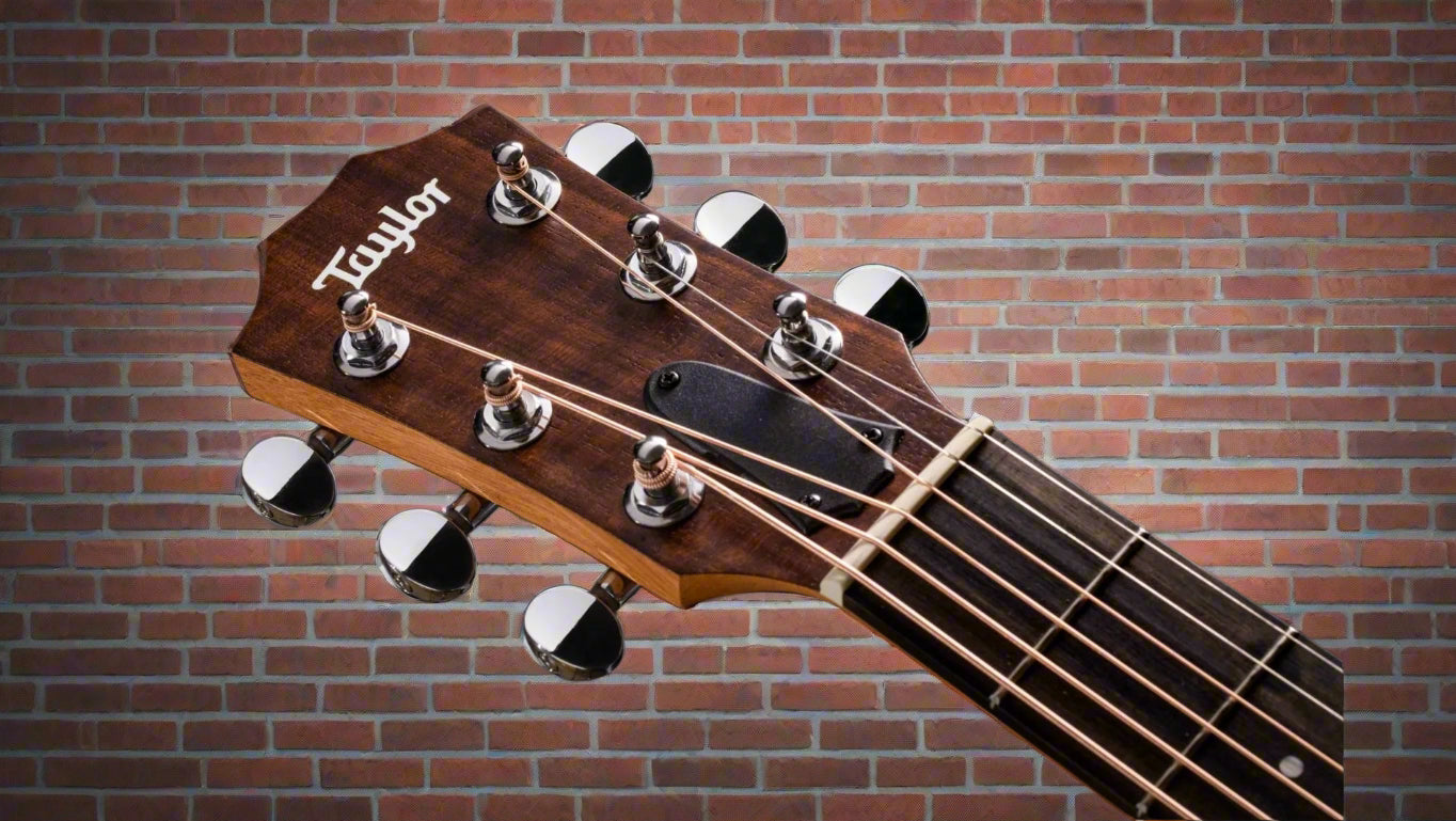 Image of TAYLOR GS Mini Mahogany