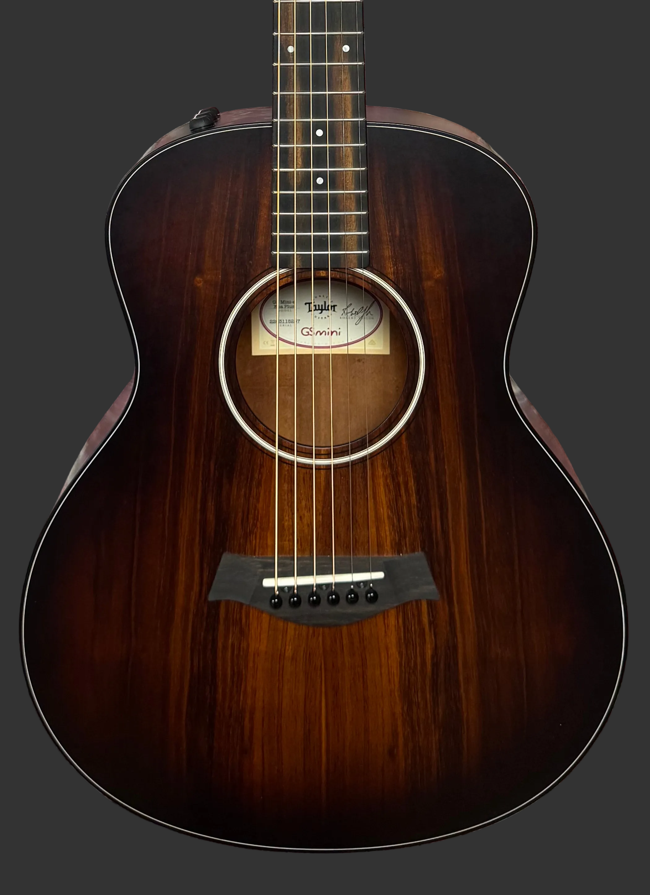 The Pied Piper Music Store